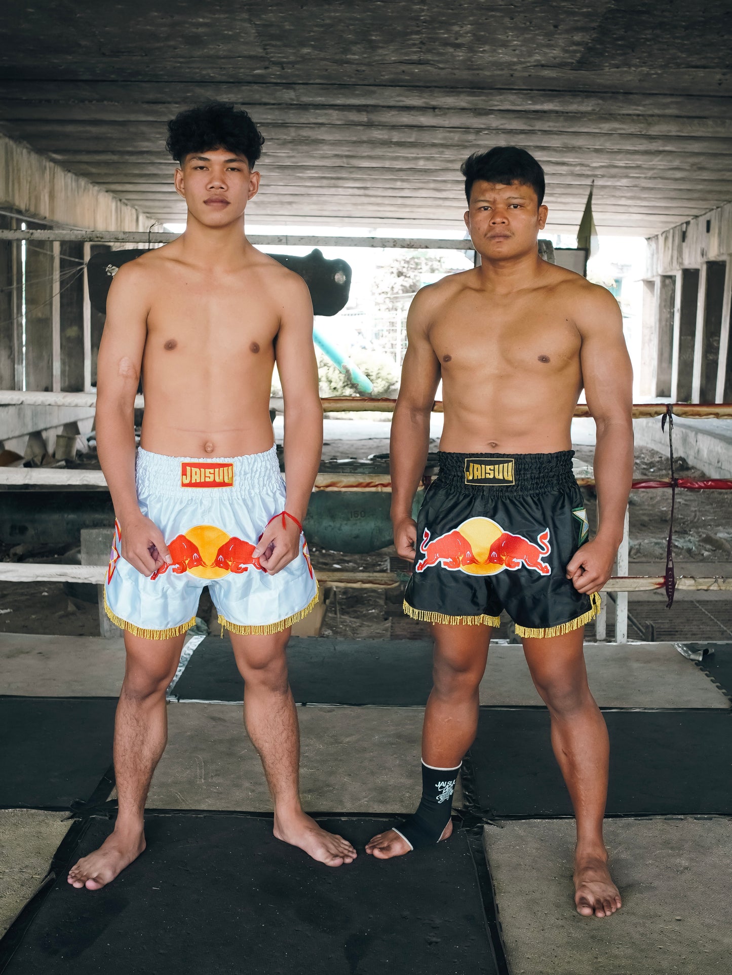 Twin Bulls - Black